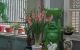 thum-9100875_x7mVI2vZac_1701137965.jpg