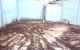 thum-9101086_K74imhwAn3_1701185762.jpg