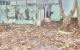 thum-m_iHcEOu9SZU_1701185746.jpg
