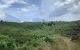 thum-9101176_itda9Q0KVL_1701232667.jpg