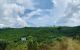 thum-m_QnNWodC0Bh_1701232651.jpg