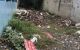 thum-m_ovjCbULD0Y_1701312822.jpg