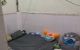 thum-9101703_qY5R4erJQT_1701421362.jpg