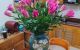 thum-9102066_HKDz2LEQ4M_1701661213.jpg