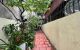 thum-m_i4jycn2OYD_1701662381.jpg