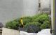 thum-9102393_9HYPNSeTtA_1701755822.jpeg