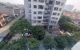 thum-9102398_MC4YnPgB0a_1701759650.jpg