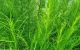 thum-9102522_w7zEXTaLk1_1701825180.jpg