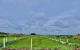 thum-9102687_teXu4Wq6o0_1701851152.jpg