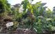 thum-9103103_VofS7FurLm_1702018613.jpg