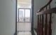 thum-9103141_z7oiyTIZl1_1702024009.jpg