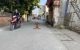 thum-9103151_c4pTJZ3xYg_1702026397.jpg