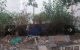 thum-m_Bi4eybOoMV_1702073931.jpeg