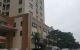 thum-m_Fcn9mLTkdh_1702120987.jpg