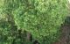 thum-9103471_KJAL3678Pj_1702217032.jpeg