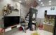 thum-m_CoywxGaBHJ_1702178420.jpg