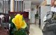 thum-m_RptDW9BVZj_1702168234.jpg