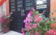 thum-m_aPiI7EeOzh_1702257482.jpg
