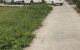 thum-m_unP1CWhxV7_1702365045.jpg