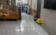thum-9104142_o1zdQYDI4b_1702436728.jpg