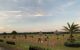thum-9104253_AvuSgwRM4I_1702452834.jpg