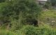 thum-9104280_o7IDzwSOV8_1702456905.jpg