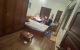 thum-9104381_8PzeIrC0L9_1702518141.jpg
