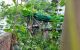 thum-9105132_1F497cwnhr_1702861025.jpg