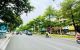 thum-9105276_QjGzEbO1Cs_1702888266.jpg