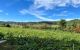 thum-m_H5R8ylXYgA_1702880203.jpg