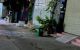 thum-m_NwWQeXtIPj_1702855985.jpg