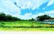 thum-9105577_SnK9qjhGaN_1702970765.jpg