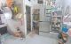 thum-9105681_2JVtATiofR_1702993491.jpeg