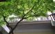 thum-9106259_ThXMntqmPr_1703216491.jpg