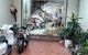 thum-9106596_cfHebWwhDS_1703393815.jpg