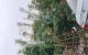 thum-9106666_He69m8Fodb_1703469367.jpg