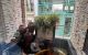 thum-9106802_JHp04ltQqw_1703494917.jpg