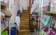 thum-9106848_Sq4wltpxKO_1703513663.jpg