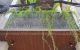 thum-m_5JLmOvSYVj_1703517214.jpeg