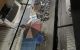 thum-m_iAhp9DaNyX_1703517701.jpg