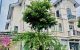 thum-9106930_XL3ZAPkTac_1703558079.jpg