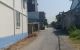 thum-m_bAuToJfpDU_1703564561.jpg