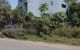 thum-9107167_xzK2QTWSrB_1703642517.jpg
