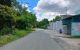 thum-m_v769AVpGfy_1703646023.jpg