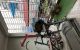 thum-9107864_vupwTHEi2P_1703900586.jpg