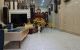 thum-9108257_QkW2h3vm5x_1704163657.jpg