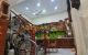 thum-9108257_ytbPqdQk2n_1704163661.jpg