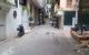 thum-m_faqvTRi8Ze_1704299760.jpg