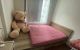 thum-9108786_8BHaz0hnSt_1704354226.jpg