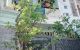 thum-m_yTpLeiz5gU_1704307090.jpg